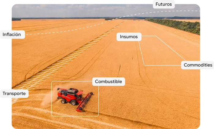 Campo y Cosecha